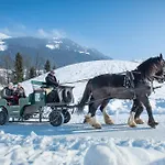 Prázdninový dům Alpenherz *