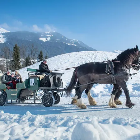 Semesterbostad Alpenherz *